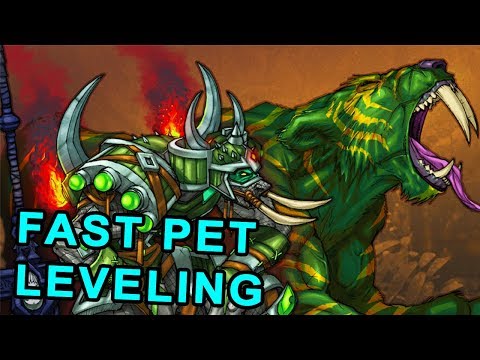 How to Level Up Hunter Pets Fast in Classic WoW