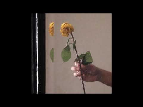 17. prxz - genocide (ft. snvff) [06.12.2016]