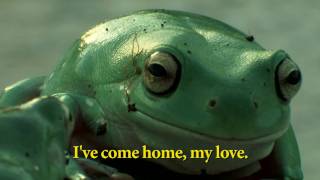 Red Hose Swing Music Video - Metrovavan