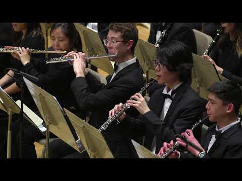 Mahler: Symphony No.1, "Titan," Movement 2 (Benjamin Zander, Boston Philharmonic Youth Orchestra)
