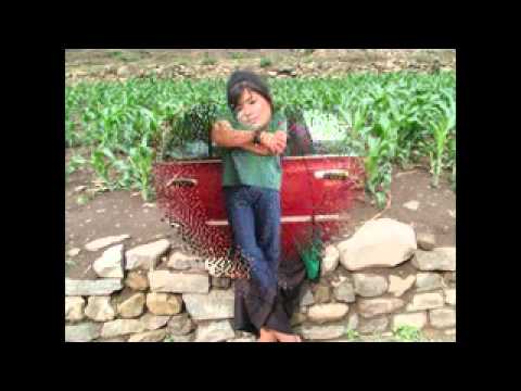 timile nasamjhida maya