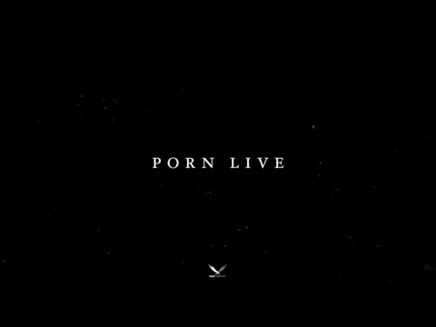 PORN LIVE 2019: THE EXHIBITION