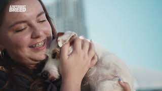 Purina A Different Breed | Full Trailer