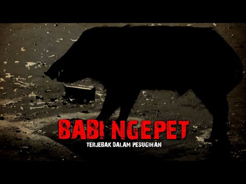 TEROR PESUGIHAN BABI NGEPET