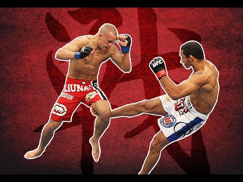 José Aldo's destructive leg kicks