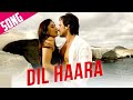 Dil Haara Song | Tashan | Saif Ali Khan, Kareena Kapoor | Sukhwinder Singh, Vishal-Shekhar, Piyush