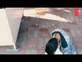 Mujhko Galat Na Samajhna Sad Song Status Video