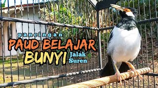 Download lagu PANCINGAN JALAK SUREN PAUD BELAJAR BUNYI HARIAN #jalaksuren mp3 Download lagu PANCINGAN JALAK SUREN PAUD BELAJAR BUNYI HARIAN #jalaksuren mp3