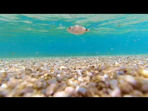 Raphaël Fey - The sound of the waves