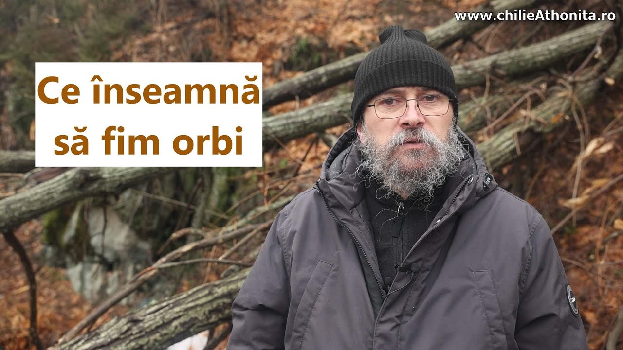 Ce înseamnă să fim orbi - p. Teologos