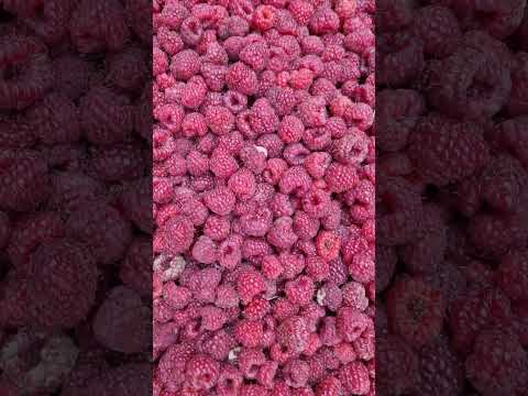 Street trading. #shortsvideo #shorts #market #street