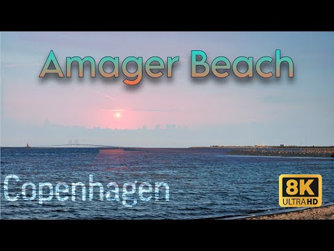 Amager Beach Copenhagen. 🇩🇰🇩🇰 Relaxing in 8K. Raw Footage. #copenhagen #shakilch #beach #8k