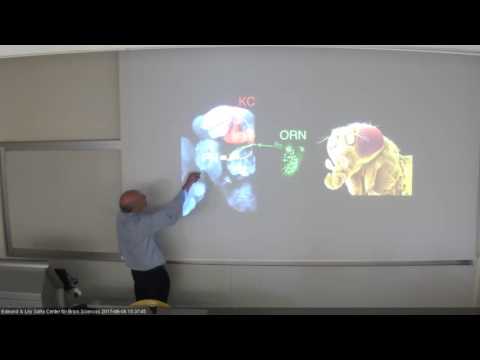 Tri center 2017 - Larry Abbott