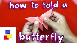 How To Fold A Butterfly
