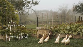 #6 Peaceful Countryside Vlog | Fall Planting, Baby Bunnies, Adding Water Fountains