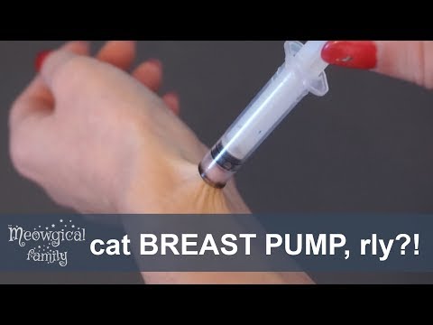 BREAST PUMP for cats