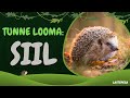 Tunne Looma SIIL