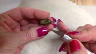 Dissecting a dead chrysalis