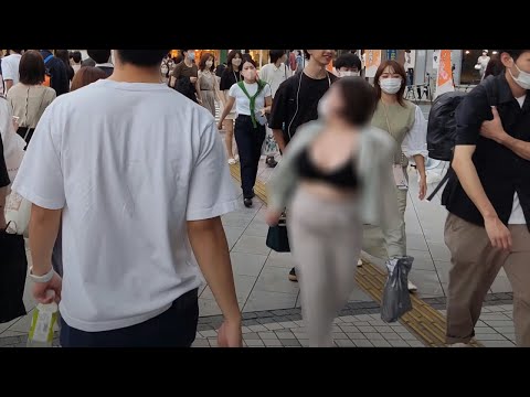 猫用ドライバス:説明書と製品