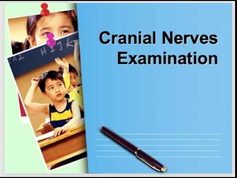 Neurological examination Part 2