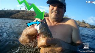 Pescaria e peixe na brasa...