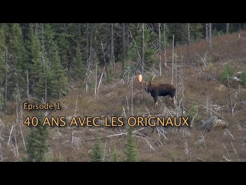 Episode 1 – 40 Years with the Moose
