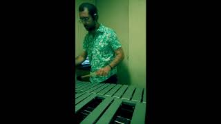 Samuel Cerra - Jeff Lorber solo on Magic Lady