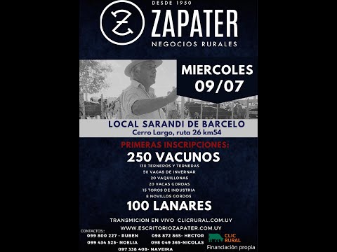 9/7/2025 Feria Mensual - Local Sarandi de Barceló -  Escritorio Zapater