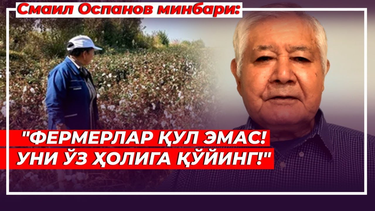 Негатив 574: “Дехқони қул бўлган мамлакат бойимайди”