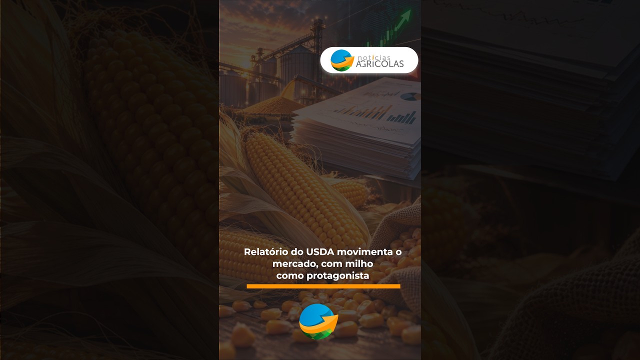 Relatório do USDA movimenta o mercado, com milho como protagonista