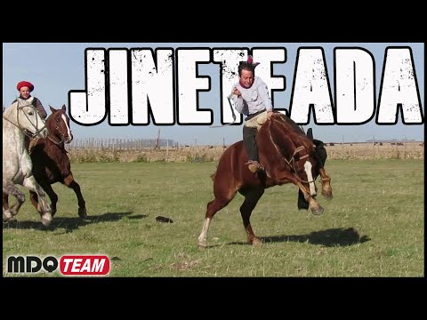 JINETEADA and PIALADA - this is FIELD!