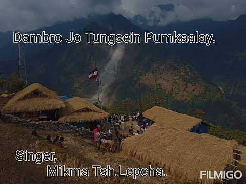 Dambro Jo Tungsein Pumkaalay by Mikma Tsh.Lepcha.