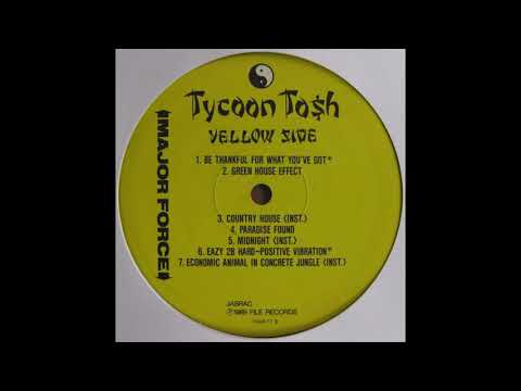 Tycoon Tosh "Country House" 1989