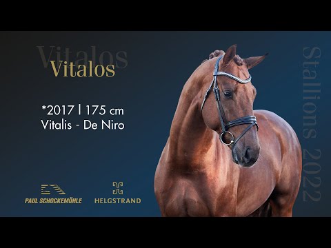 Vitalos - Dressurkollektion 2022 Schockemöhle & Helgstrand (DEU)