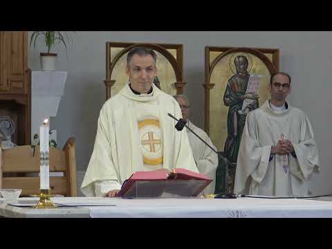 Videó előnézet