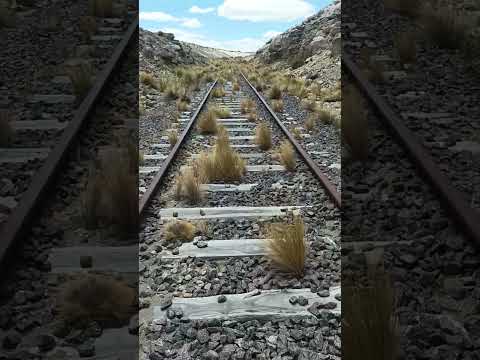 Recorreriendo (y divagando) en Trasandino Sur. Neuquen, Zapala #ramalabandonado