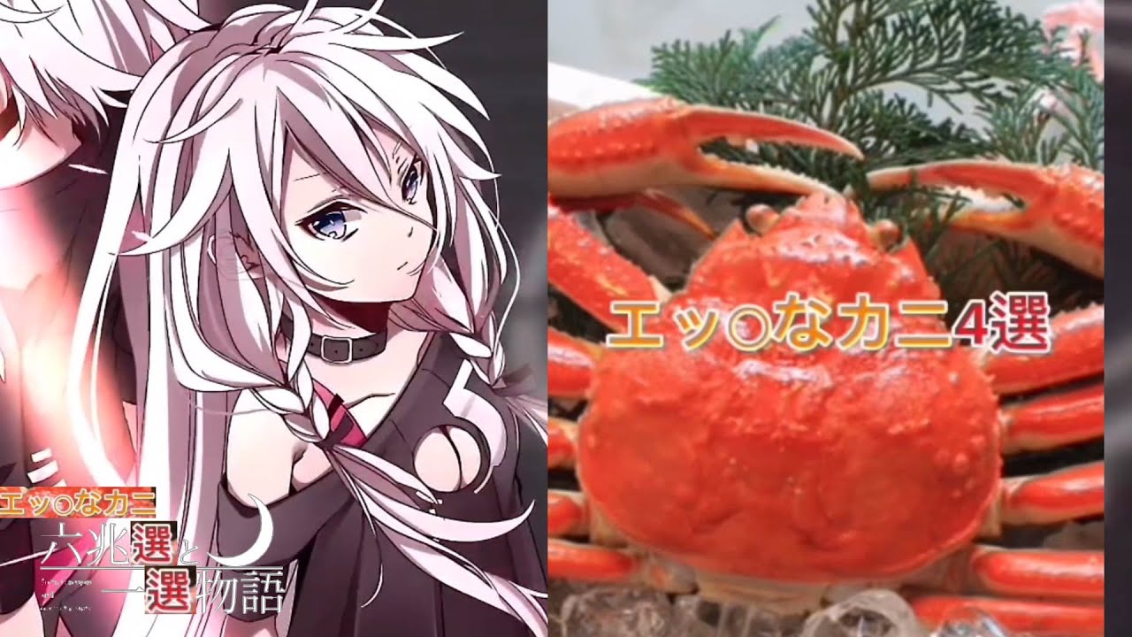 エッチなカニ六兆選と一選物語