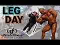 LEG DAY at Ultimate Fitness Birmingham