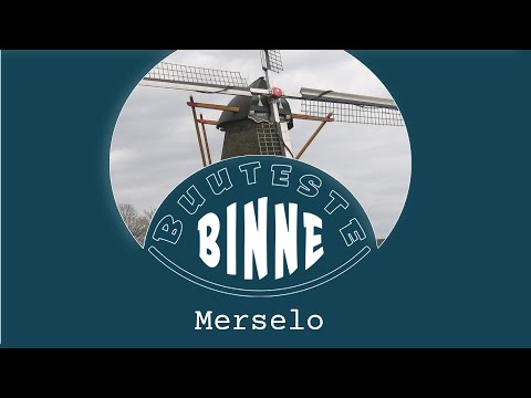 BuutesteBinne: Merselo