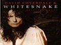 David Coverdale & Whitesnake - Can´t stop now ...