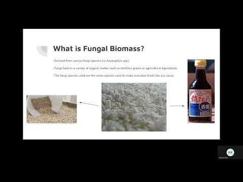 AQUPGM4 Fungal Biomass Group
