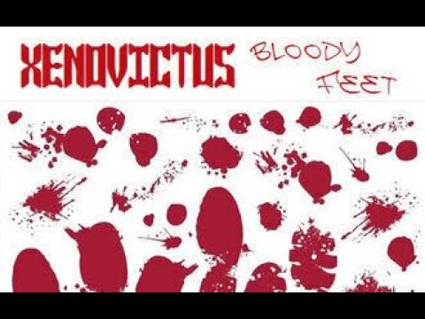 Xenovictus - Synthesia