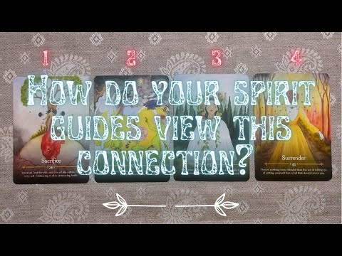 How do your Spirit Guides view this connection? ✨ | Timeless | Pick a Card