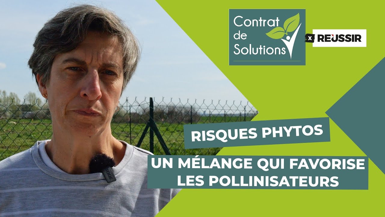 Contrat de solutions : le mélange Pollifauniflor favorise les pollinisateurs [Contenu partenaire]