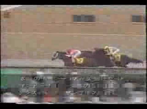 Sunday Silence－Preakness Stakes