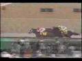 Sunday Silence���Preakness Stakes - YouTube