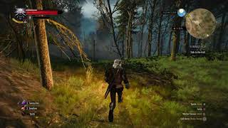 The Witcher 3 Get to the Troll A Deadly Plot