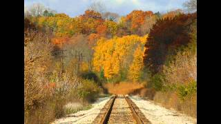 Download lagu Engu Selluven - Alka Ajith - Kovalanin Kadhali mp3 Download lagu Engu Selluven - Alka Ajith - Kovalanin Kadhali mp3