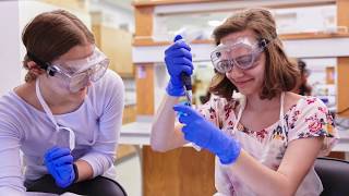 Research in Science &amp; Engineering (RISE) - Internship/Practicum