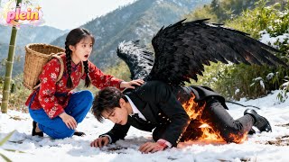 Een meisje uit het dorp redt een verbrande zwarte vogel... zich er niet van bewust dat het een vervloekte CEO is! De liefde begint!